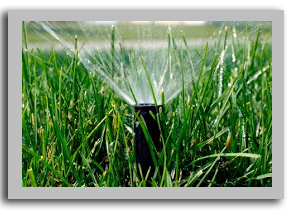 lawn sprinkler repair services